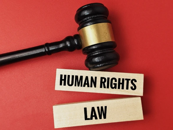 Authority Under Contestation: Institutional Legitimacy of International Law and Human Rights