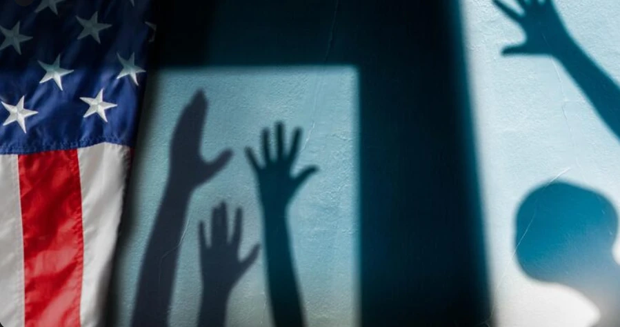 Repression, Resistance, and Institutional Learning: Evidence on Human Rights Organizations and Advocacy from the United States