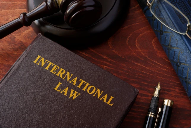 The Politics of Legal Integration: Governance Consequences of International Law and Human Rights