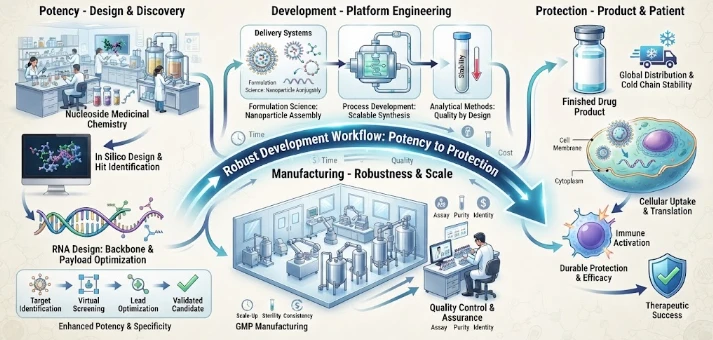From Potency to Protection: Manufacturing-Robust Development of Nucleoside Medicinal Chemistry, RNA Therapeutics and Drug-Development Platforms