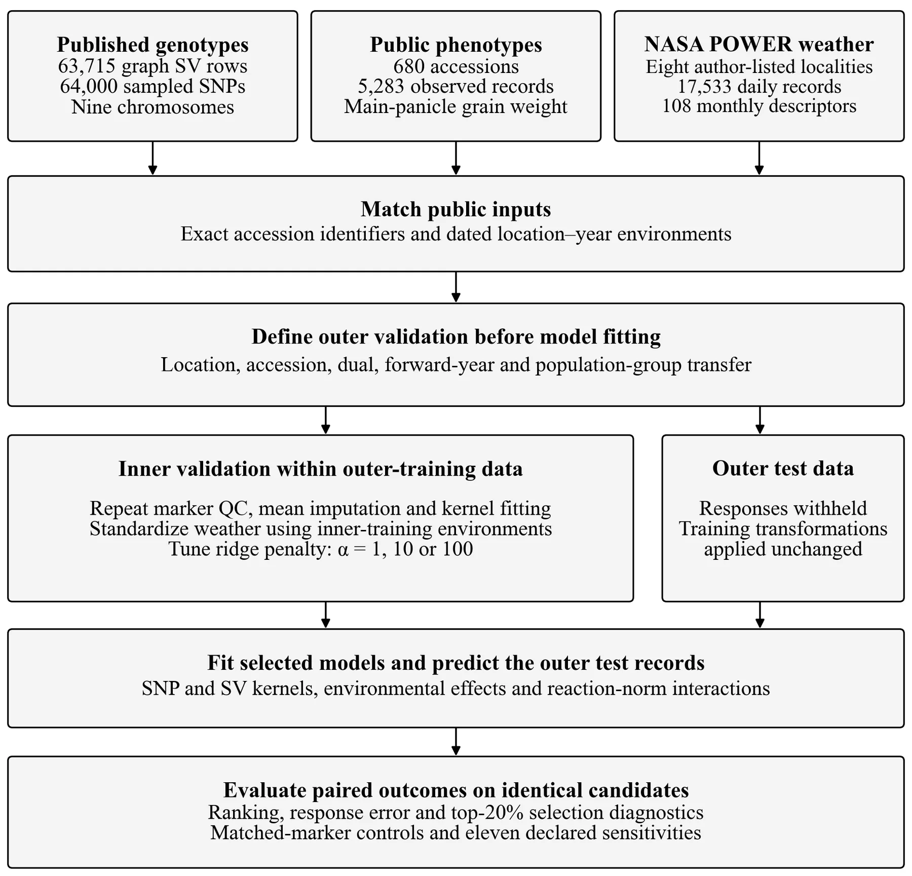Climate-Resilient Cereal Breeding with Graph Pangenomes, Envirotyping, and Reaction-Norm Genomic Prediction